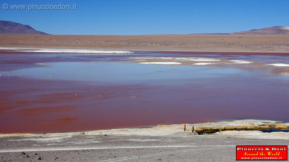 BOLIVIA 2 - Laguna Colorada - 11.jpg